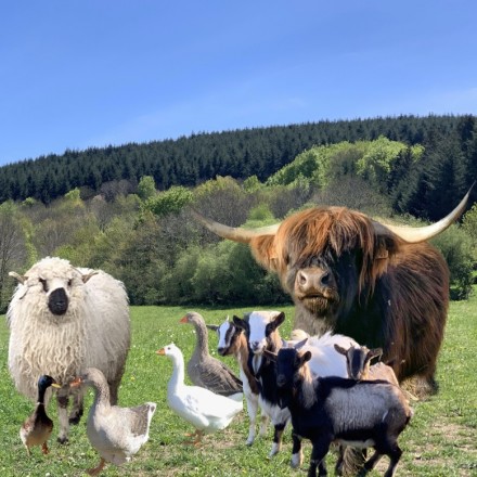 Ferme de Cancabirol