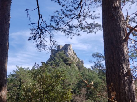 Château de Puilaurens - Puilaurens Castle